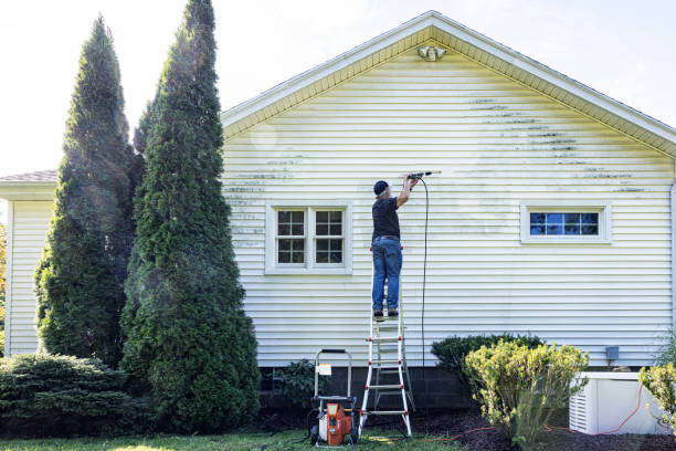 Best Dumpster Area Cleaning  in Girardville, PA
